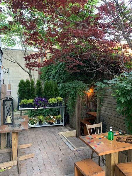 Image + Fonda Lola Mexican Bistro + Mexican food in Toronto