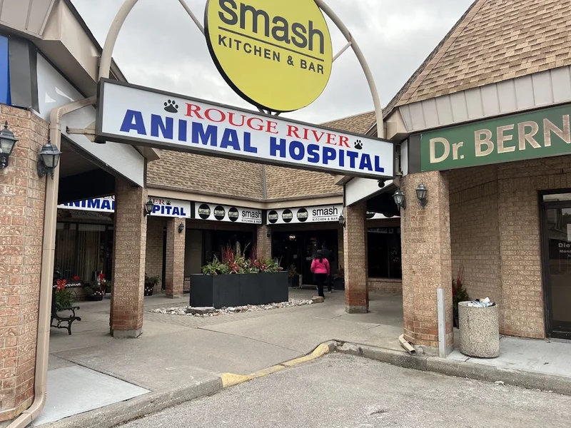 Image Smash Kitchen and Bar Mexican food in Markham