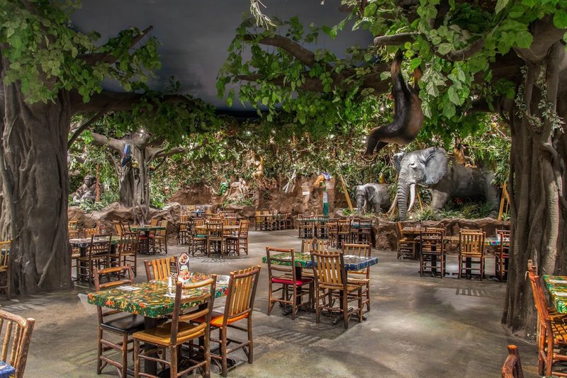 Image Rainforest Cafe American food in Ontario