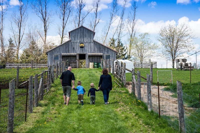 Image Mapleton's Organic Dairy Ice cream parlors in Ontario