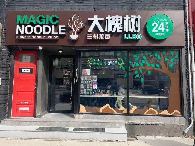 Image Magic Noodle Yonge St Noodles in Toronto