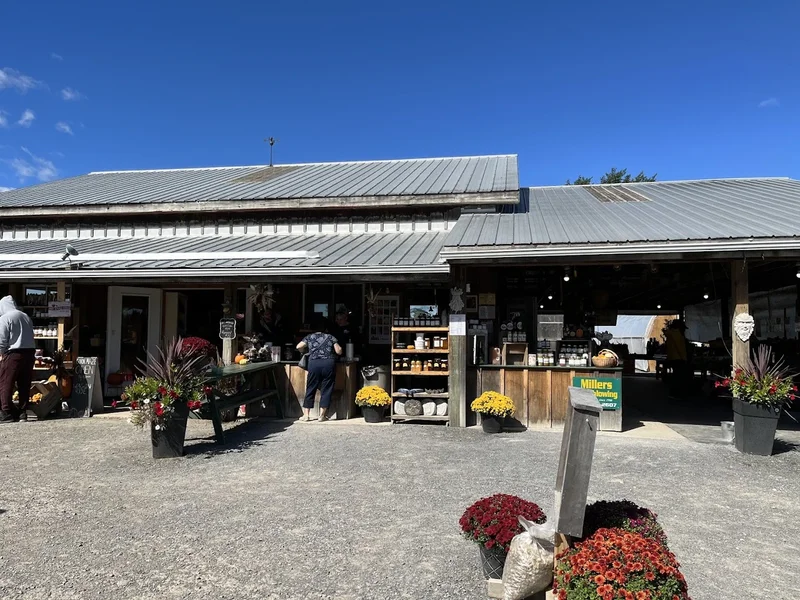 Image Millers' Farm and Market Food markets in Ottawa