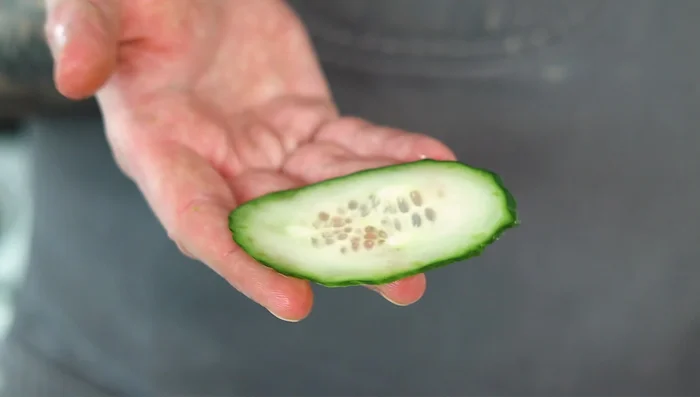 Thinly slice cucumber and green onion for the salad. Add cilantro (or substitute).