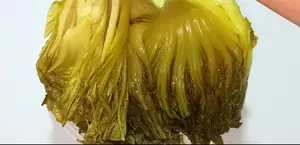 Crispy Golden Pickled Mustard Greens: No Sun Needed!