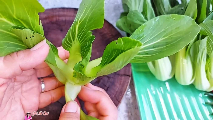 Wash the bok choy thoroughly. Use a basin of water and scrub each stalk with a brush, paying attention to the roots. Rinse several times.