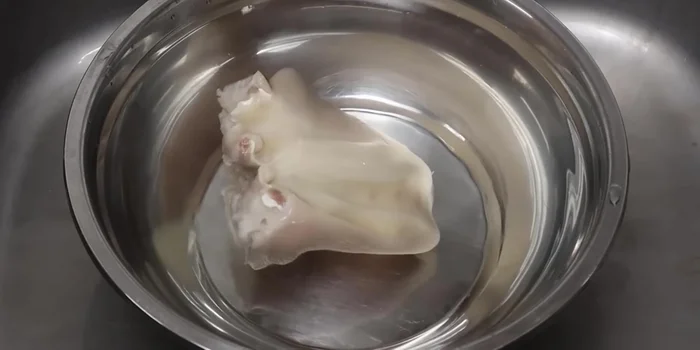 Remove the boiled pig's ears and rinse with cold water to cool down quickly.