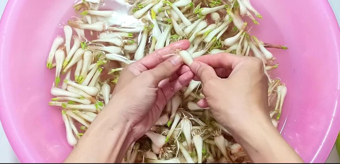 Peel off the outer layers of the shallots until they are white.