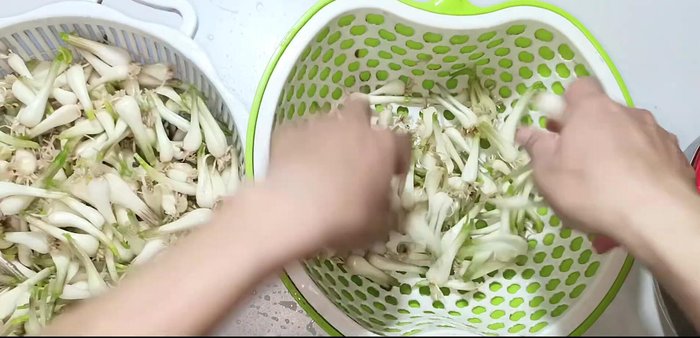 Dry shallots in the sun for 1-2 hours, or until dry to the touch. Alternatively, dry them with a lighter, but this will take longer.