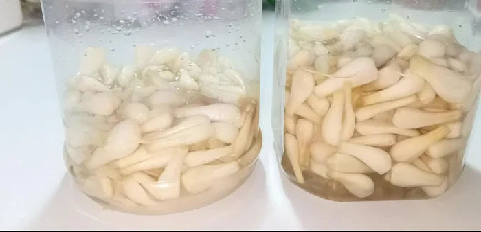 Mix the sweet and sour pickled shallots well after a day to ensure even flavor distribution.