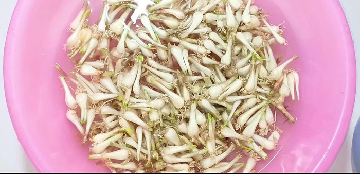 Soak shallots in 3 liters of water with 3 tablespoons of salt for at least 6 hours (or overnight).