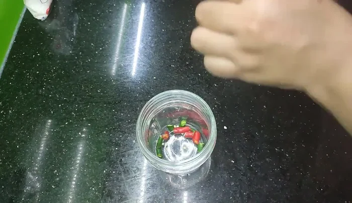 Combine all ingredients (chili peppers, lemon leaves, lemon juice, kumquat (optional), condensed milk, salt, sugar, and MSG) in a blender.