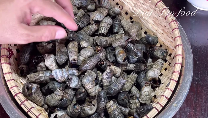 Thoroughly wash the snails to remove mud and dirt. Soak them in rice water or rice flour for 30 minutes to 1 hour to further clean them and loosen dirt from the shells.