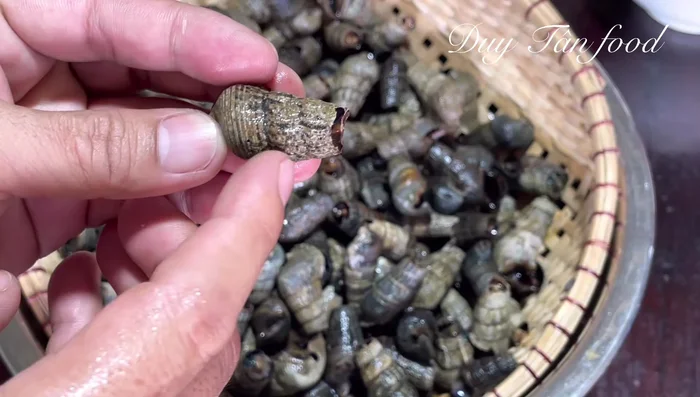 Cut off the snail tails, leaving about three spirals. Wash again to remove any broken shell pieces.