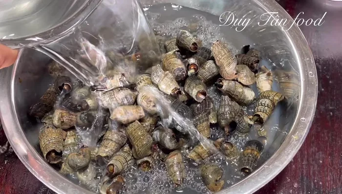 Wash the snails again thoroughly, ensuring all debris and shell fragments are removed.