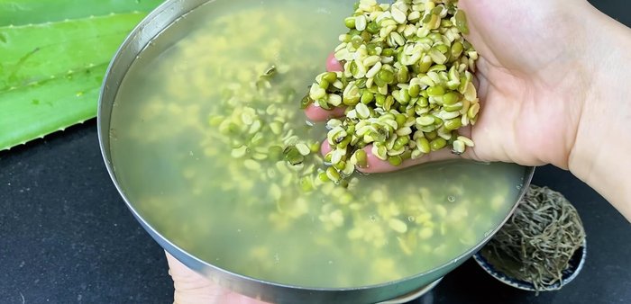 Wash and scrape the green beans. If using pre-soaked beans (soaked overnight), this step is easier. [60.199]