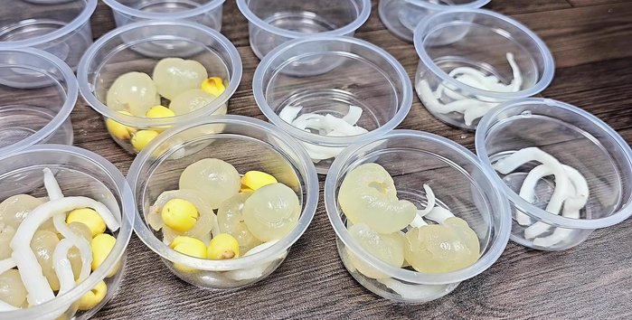 Divide the coconut rice, longan, and lotus seeds into jars.