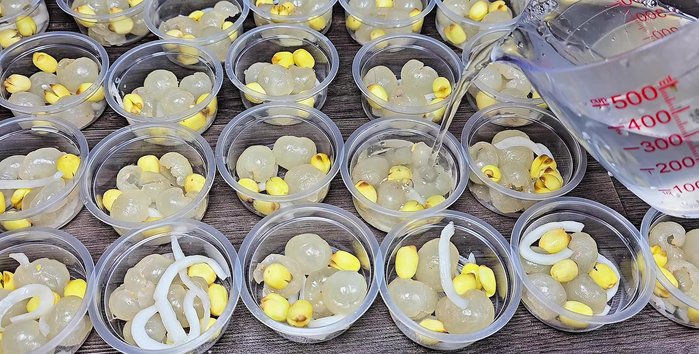 Pour the jelly mixture into the jars, leaving some space for the cream.