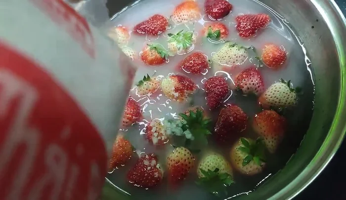 Gently wash and rinse the strawberries.