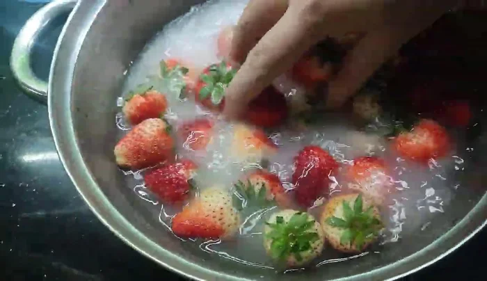 Remove all the stems.