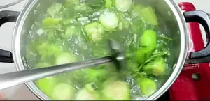 Vegetarian Squash and Malabar Spinach Soup Recipe