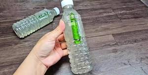 Refreshing Aloe Vera Drink with Rock Sugar, Pineapple & Chia Seeds