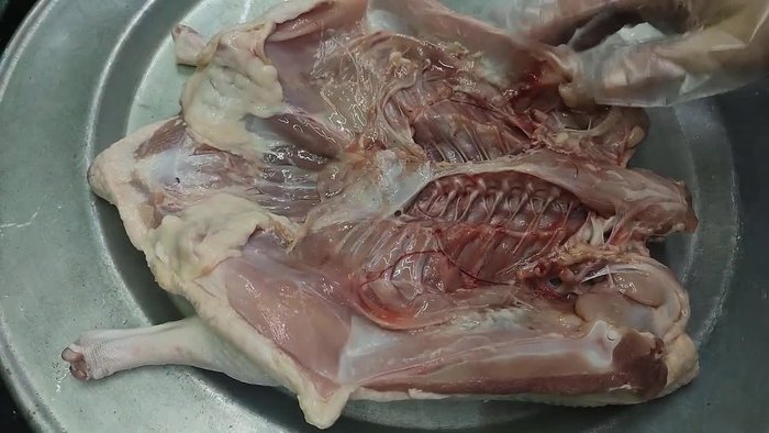 Cut the duck.