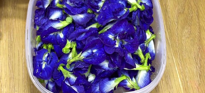 Prepare butterfly pea flower: If using fresh flowers, use about 20g and add hot water to extract color. If using frozen, defrost 100g. (Note: Freezing the flowers beforehand intensifies the color)