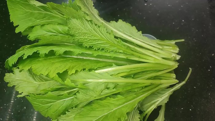 Wash mustard greens thoroughly and cut into bite-sized pieces.