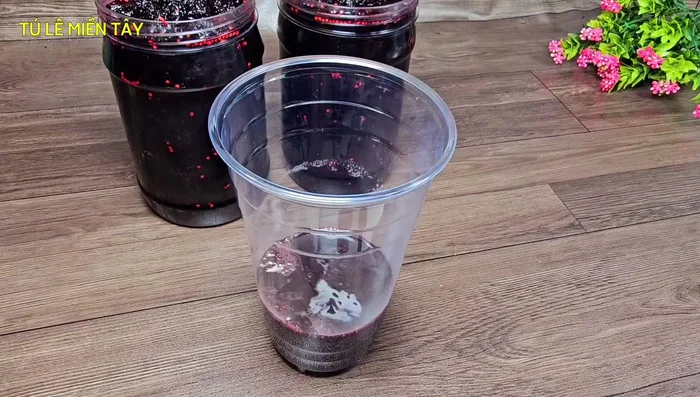 To serve: Mix 70ml syrup with 100ml water (or more, to taste). Add ice.
