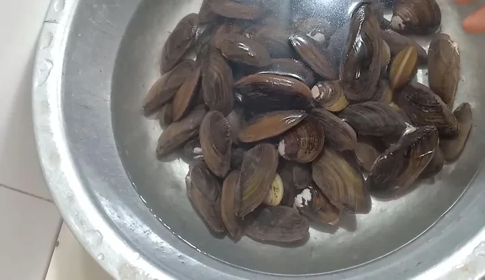Thoroughly wash and soak the worms and mussels in water multiple times.