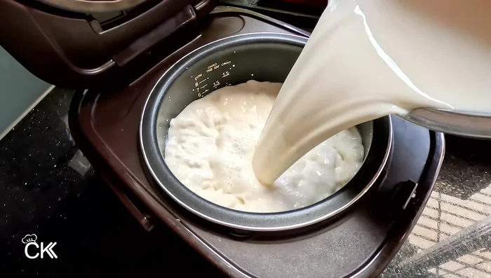 Pour the mixture into the rice cooker. Cover tightly and let it ferment for 8-15 hours (depending on the amount of starter and desired sourness). Do not plug in the rice cooker.
