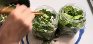 Quick Pickled Cabbage Recipe: Crispy, Fragrant, and Ready in 24 Hours!