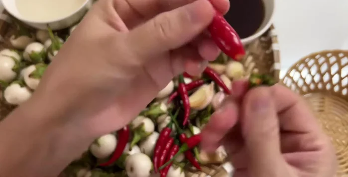 Wash chili and eggplant; remove stems. Puree chili and garlic.