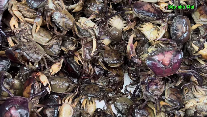 Prepare the crabs: Wash and grind the crabs. You can freeze the ground crab for 2-3 months (67.72).
