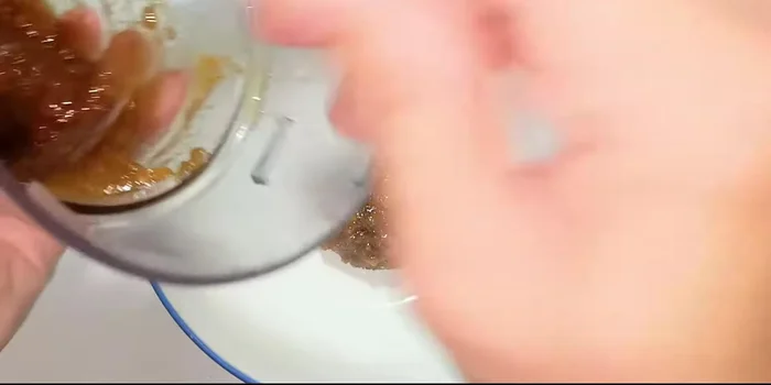 Transfer the pureed ingredients to a bowl.