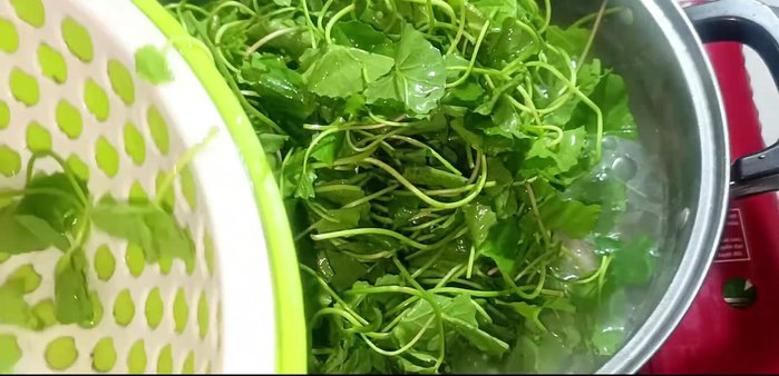 Add the pennywort to the pot. If the stems are too long, cut them shorter. Stir well to ensure the pennywort is submerged in the boiling water. (129.08)