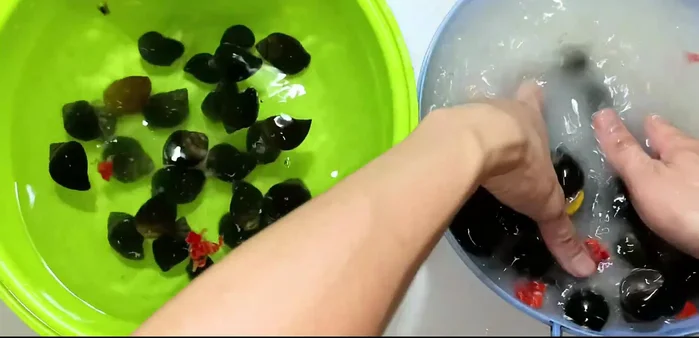 Wash snails thoroughly until the water runs clear. Use a pot scrubber to clean the shells.