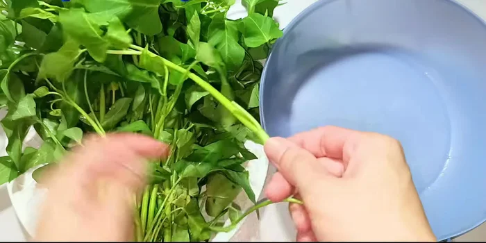 Prepare the water spinach. Remove all leaves and use only the stems. Cut the stems into 5cm lengths.