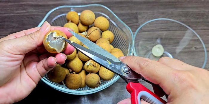 Prepare the longan: Remove seeds using scissors (116).