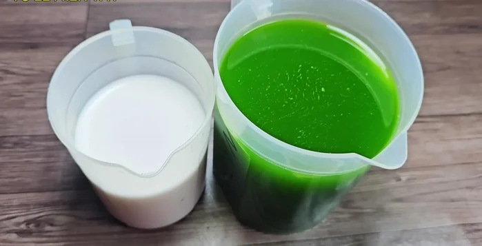 Prepare coconut milk (500ml) and pandan leaf juice (1.5 liters).