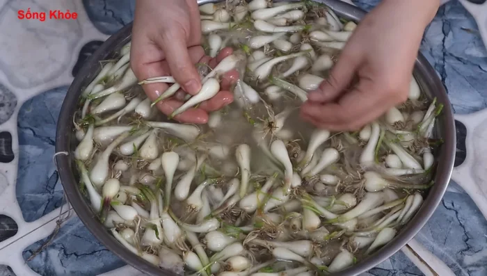 Drain the soaking water and rinse the Kiệu. Dry the Kiệu using a sieve or a thin tray.