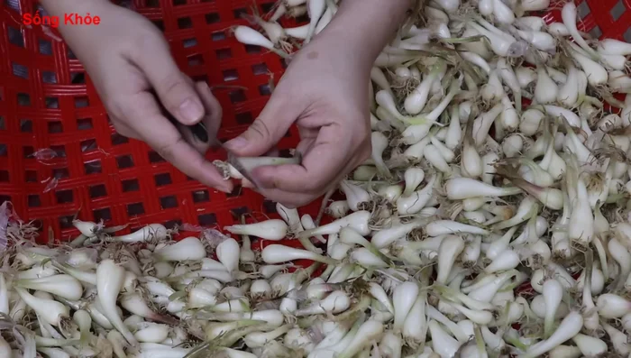 Trim the ends and peel off the outer layer of the Kiệu.