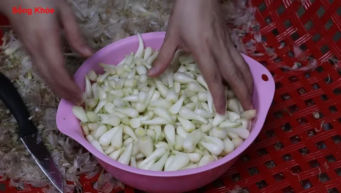 Spread out the prepared Kiệu to let it air dry.