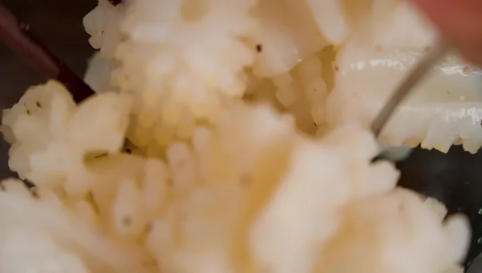 Prepare squid: Cut squid into pieces and marinate with pepper and seasoning powder.
