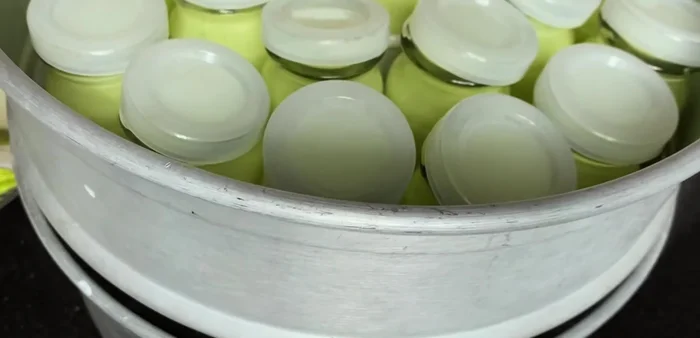 Incubate in a steamer with boiling water (1-1.5 liters) for 12 hours. Maintain a stable position for successful incubation.
