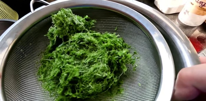 Grind pandan leaves with a small amount of water to create a fine paste (100g pandan leaves and 5ml water). Let it sit for 45-60 minutes to extract essence. Strain and keep only the pandan essence.