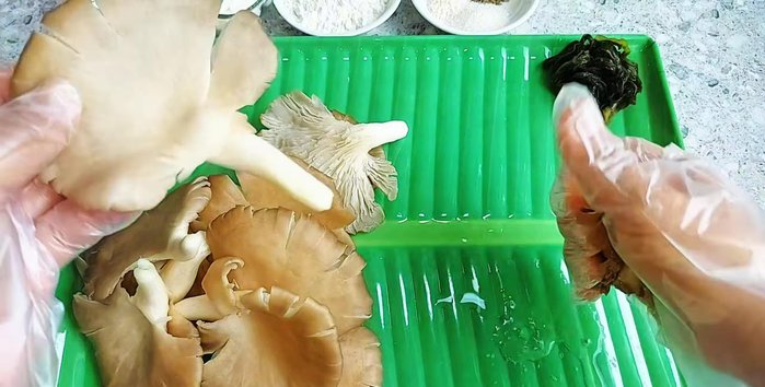 Wash and thoroughly squeeze dry the oyster mushrooms. Squeezing is crucial for chewy cakes. You can use a cloth bag to help with this process.