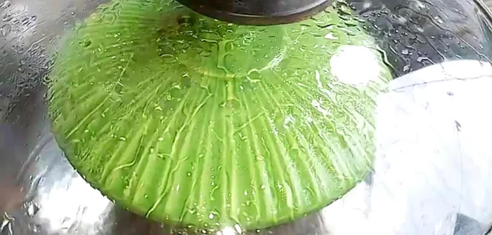 Let the steamed patty cool completely.