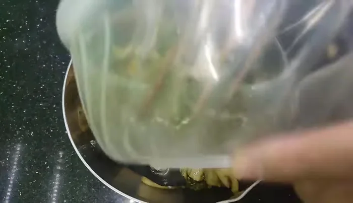 Add another layer of pickles and a little pickle juice to further reduce fishy smell.
