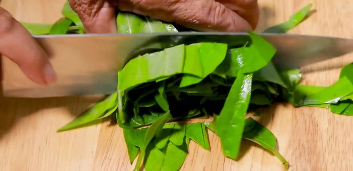 Pick and cut dream leaves.